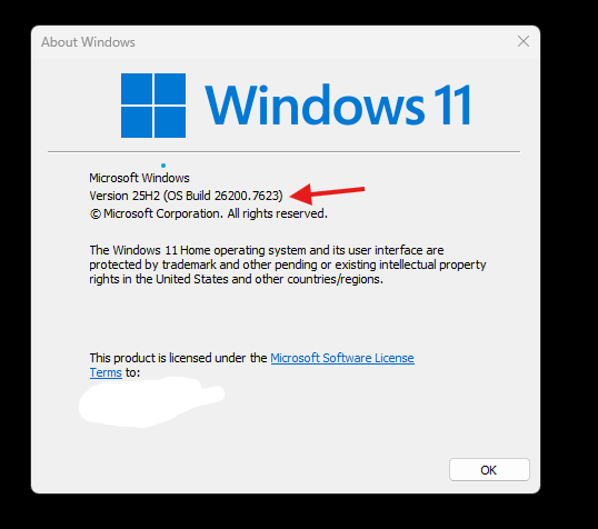 Windows Update build number